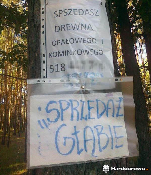 Ogłoszenie - 1