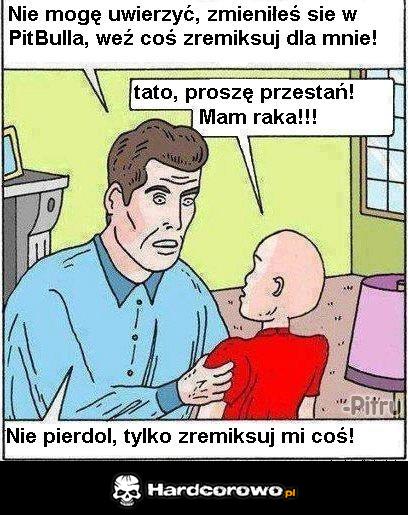 PitBull - 1