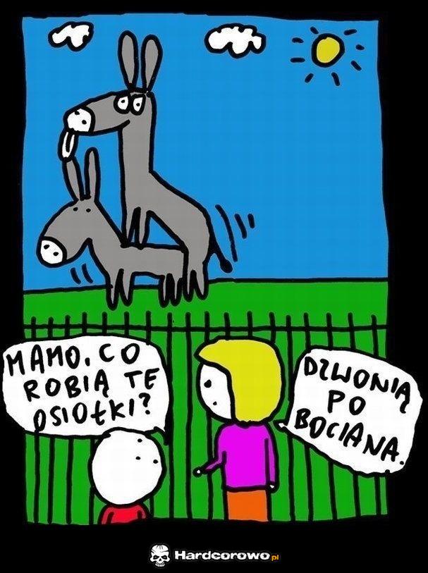 Dzwonią po bociana  - 1