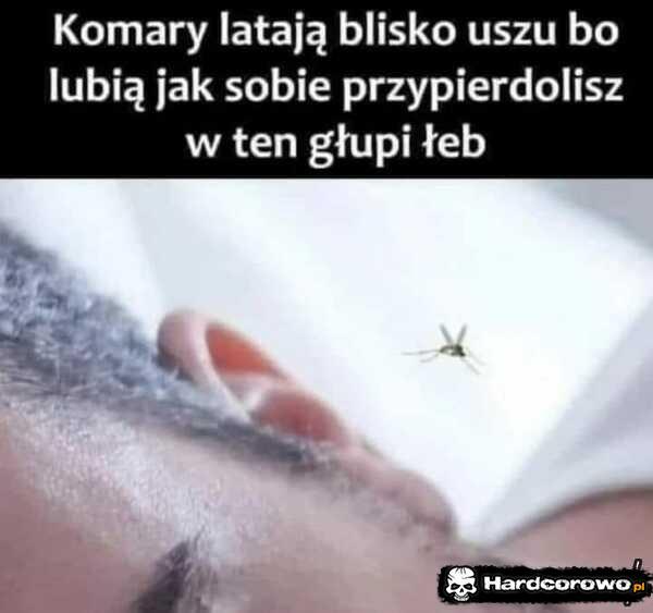  - 1