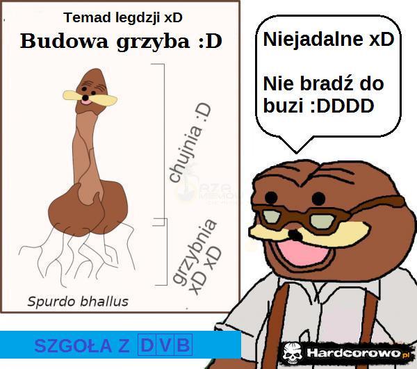  - 1