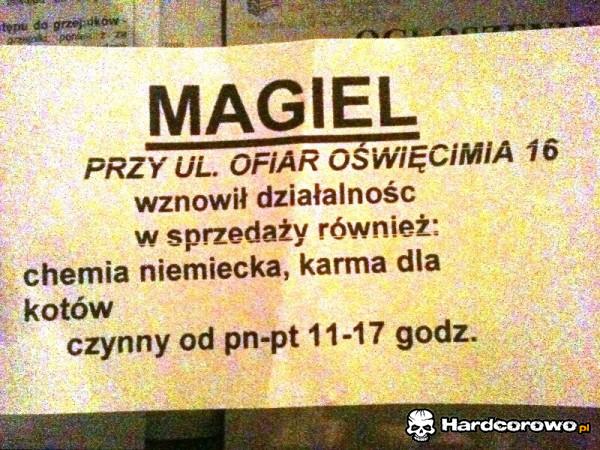 Magiel - 1