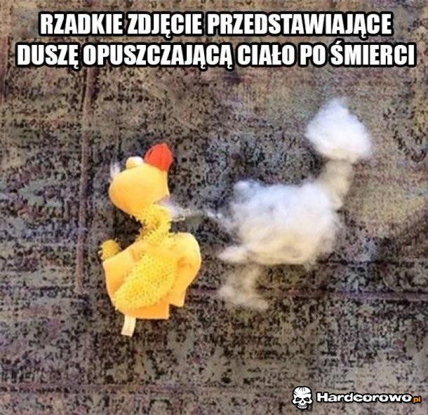 Przerażające - 1