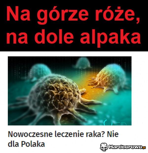 Na górze róże - 1