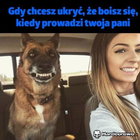 Wszystko jest w porządku - 1