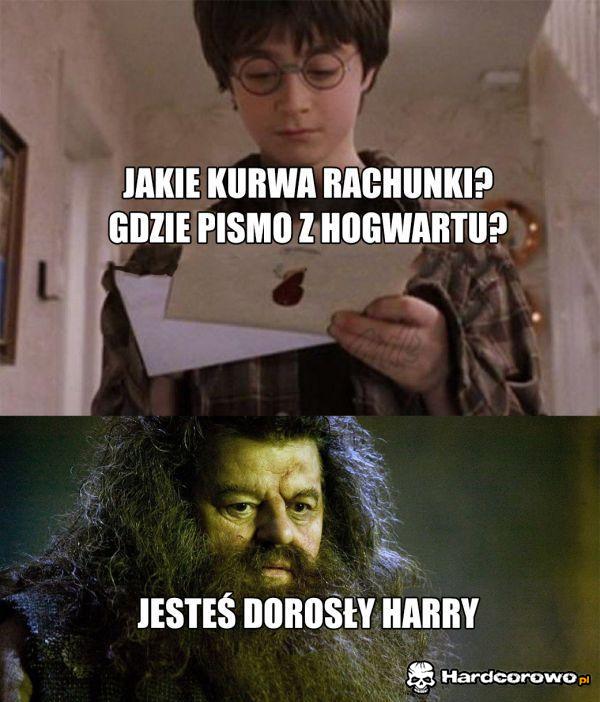 Harry - 1