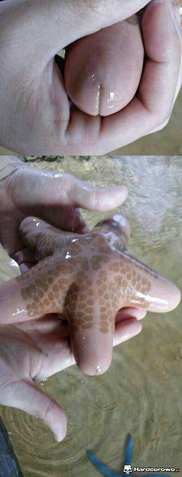 Trzymanie w ręku.. - 1