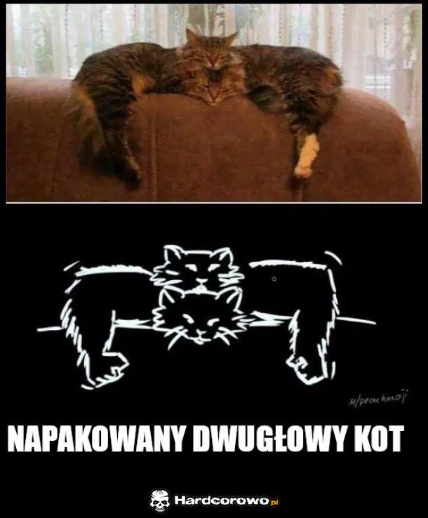 Idzie ci nastukac tylko sie wyspi - 1