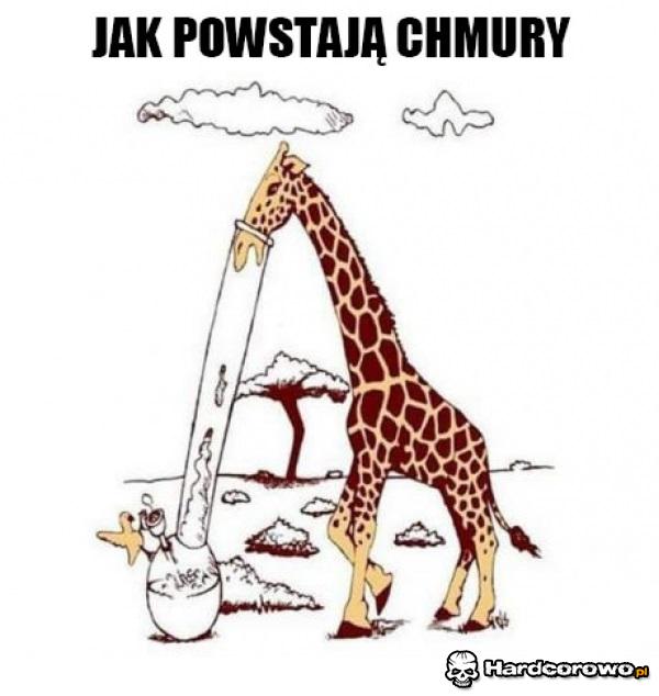 Teraz już wiesz - 1