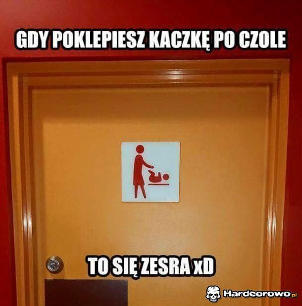 Gdy poklepiesz kaczkę po czole - 1