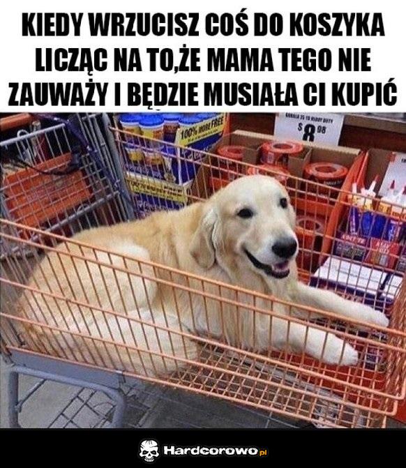 Sklepowa taktyka - 1