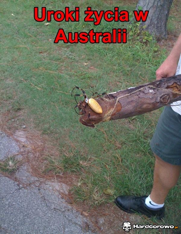 Australia - 1