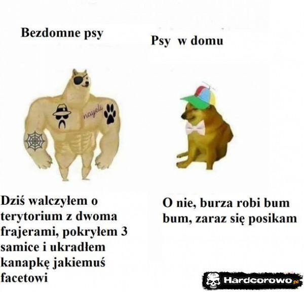  - 1