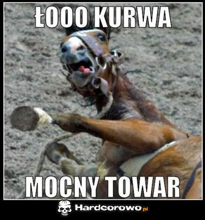 Koń na fazie - 1