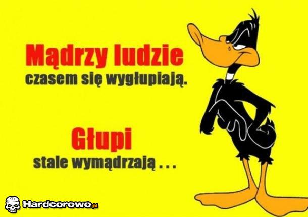 Mądrzy a głupi ludzie - 1