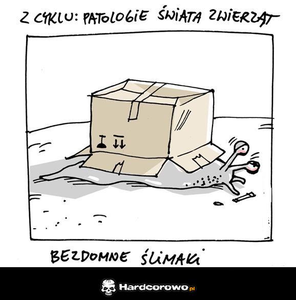 Bezdomność - 1