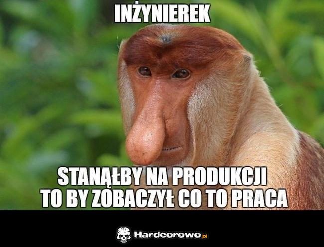 Inżynierek - 1