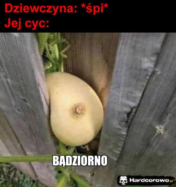  - 1