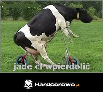 Wkurzyła się - 1