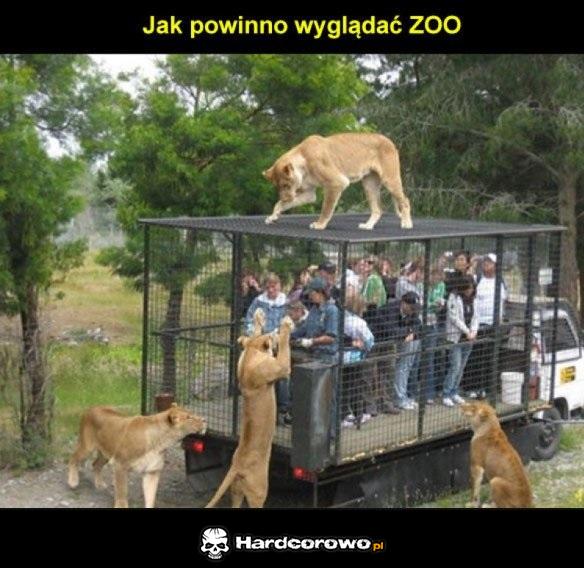 ZOO - 1