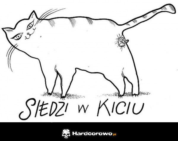 Siedzi w kiciu  - 1