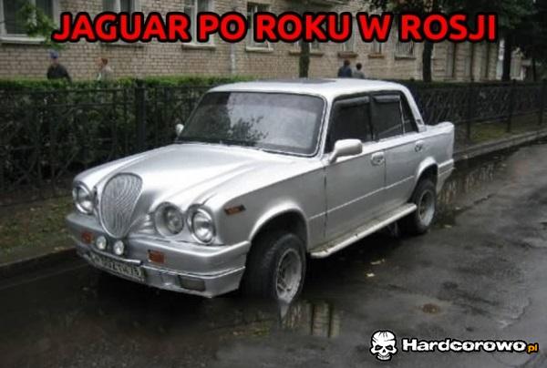 Jaguar w Rosji - 1