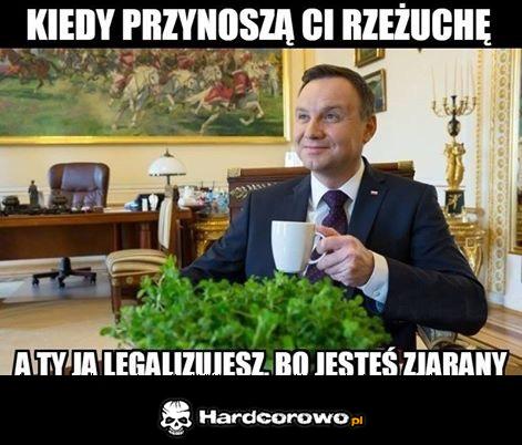 Duda - 1