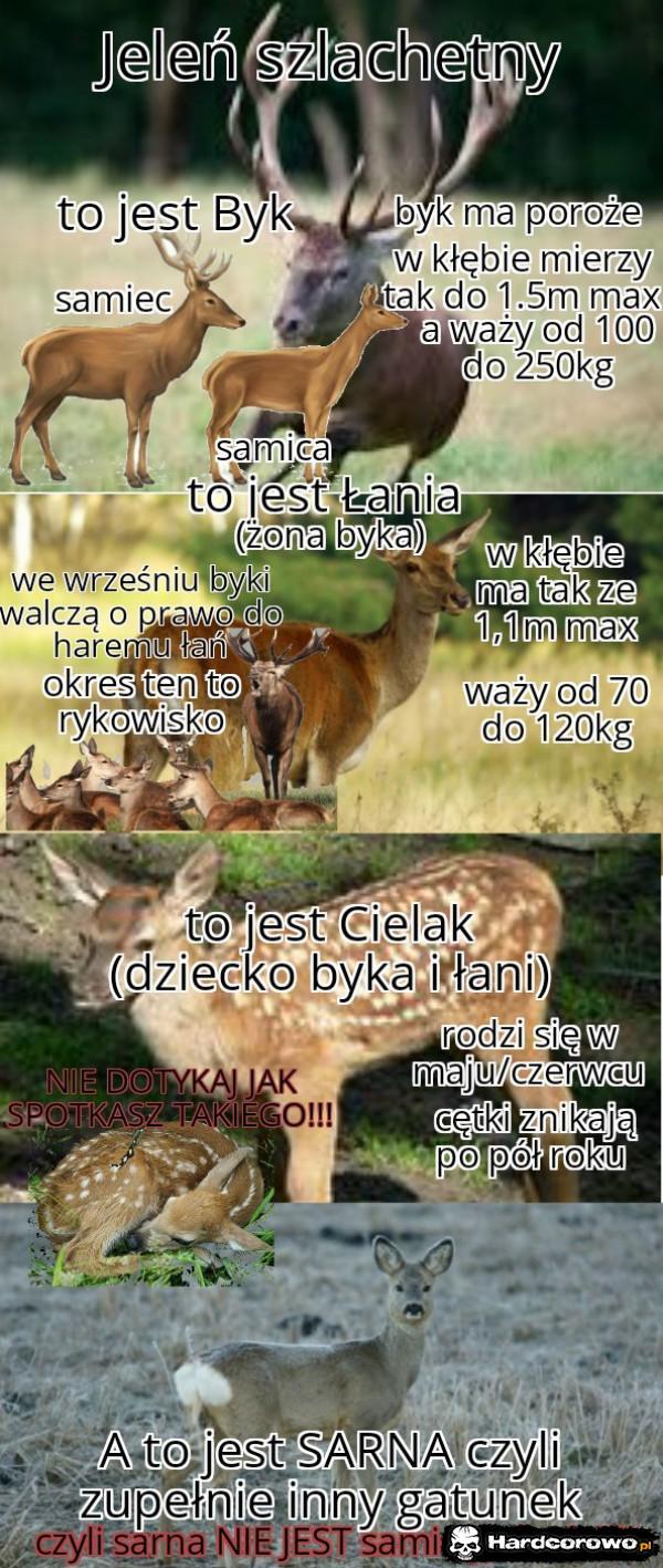  - 1