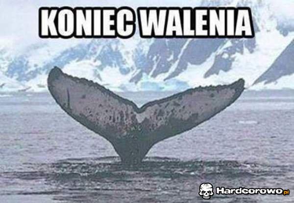 Koniec walenia - 1