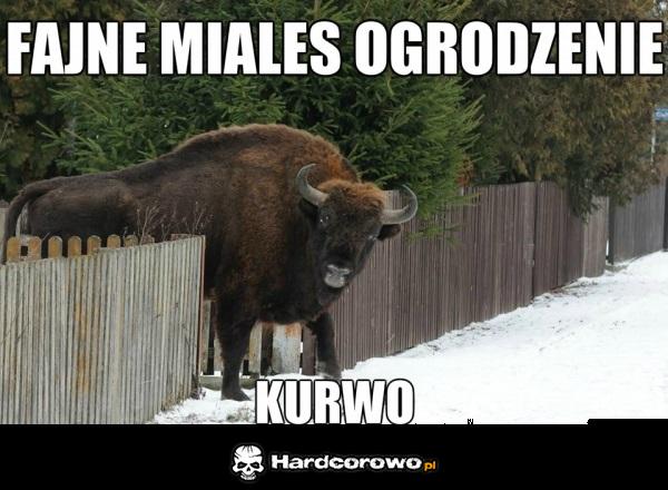 Ups! - 1
