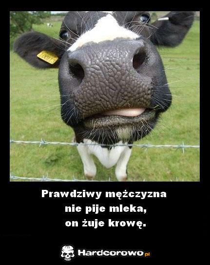 Prawdziwy mężczyzna - 1