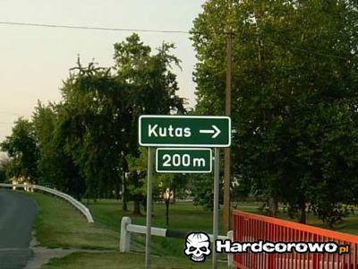 Długi kutas  - 1