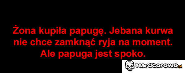 Papuga  - 1
