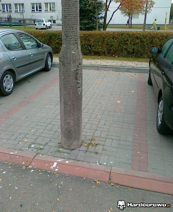 Parking - 1