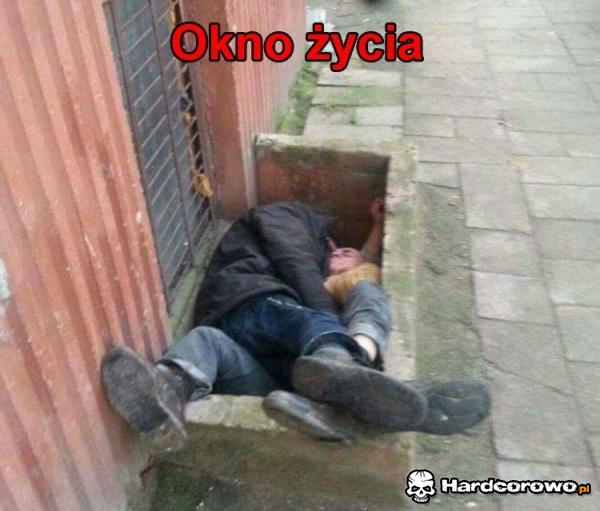 Okno życia - 1