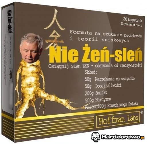 Nie Żeń-sień - 1