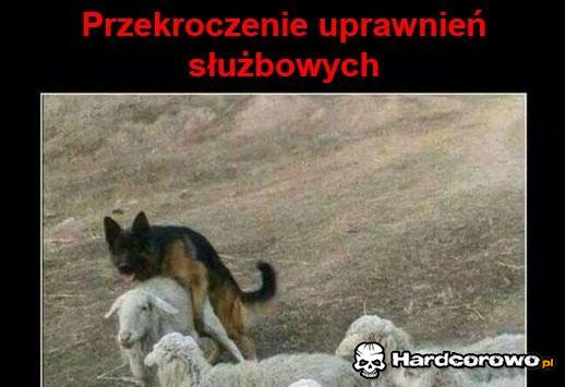 Przekroczenie uprawnień - 1