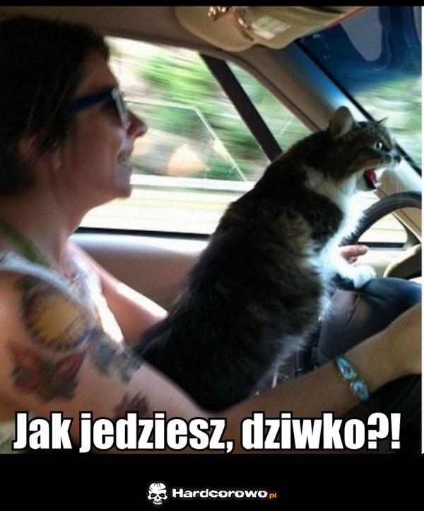 Jak jedziesz! - 1