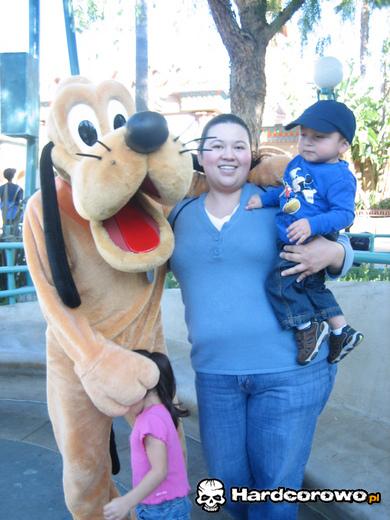 Pluto wie co dobre - 1