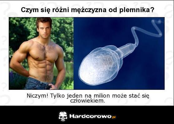 Czym się różni mężczyzna od plemnika? - 1