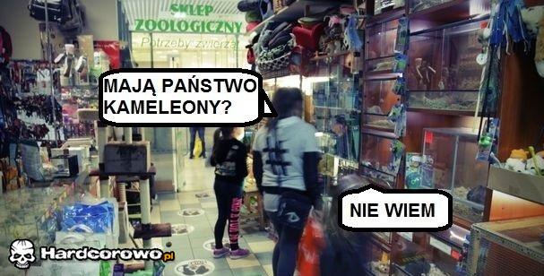 Suchar zoologiczny - 1