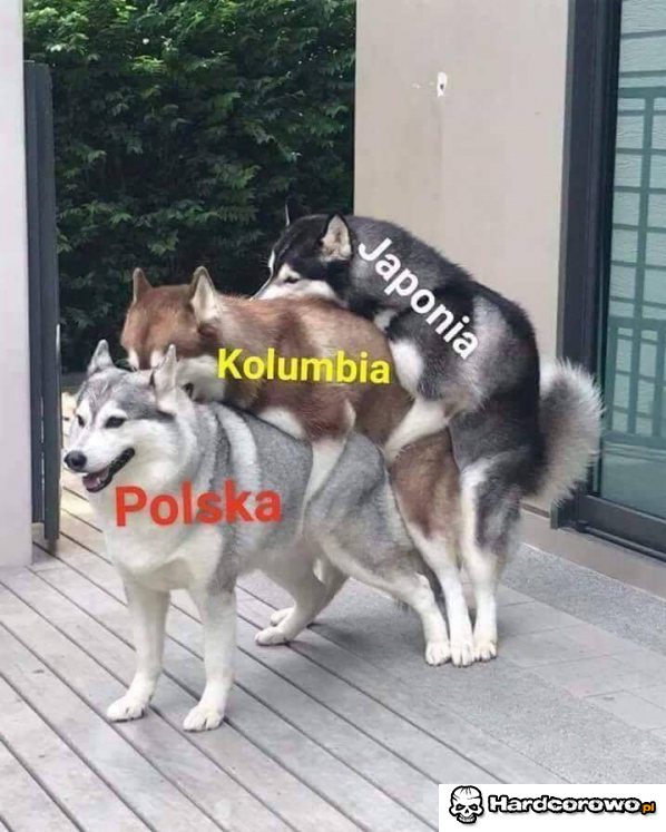 Tak to widzę - 1