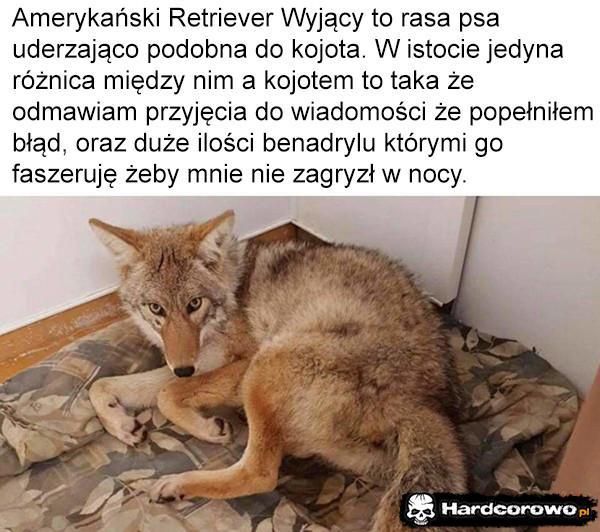  - 1