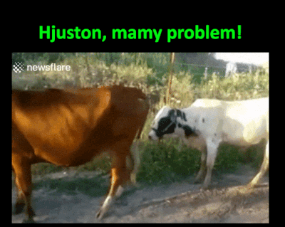 Hjuston, mamy problem  - 1