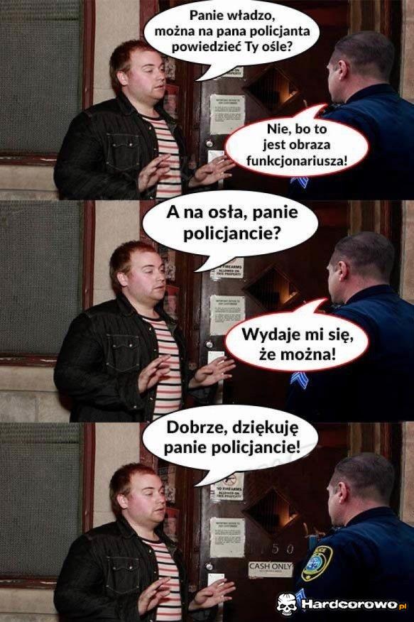 Genialna rozmowa z policjantem - 1