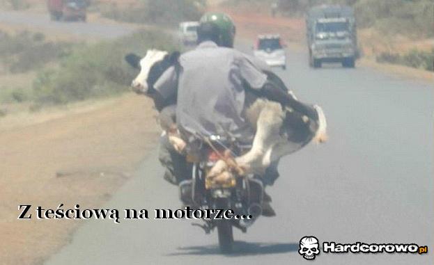 Z teściową na motorze - 1