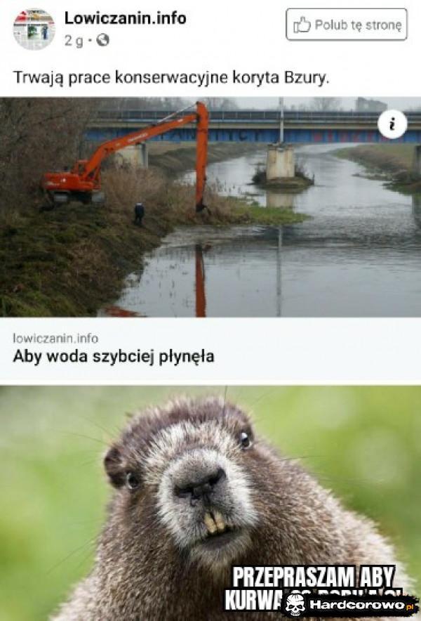  - 1