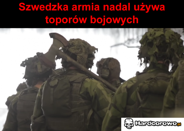 Szwedzka Armia  - 1