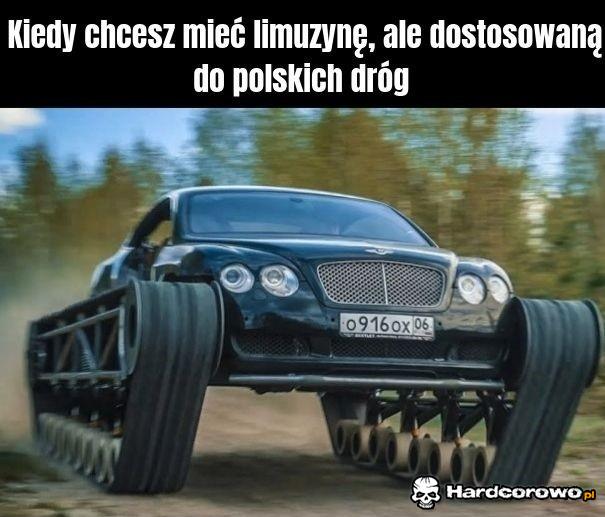 Kiedy chcesz mieć limuzynę dostosowaną do polskich dróg - 1