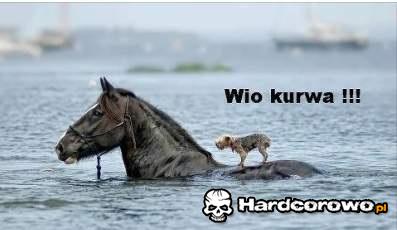 No to płyniemy! - 1